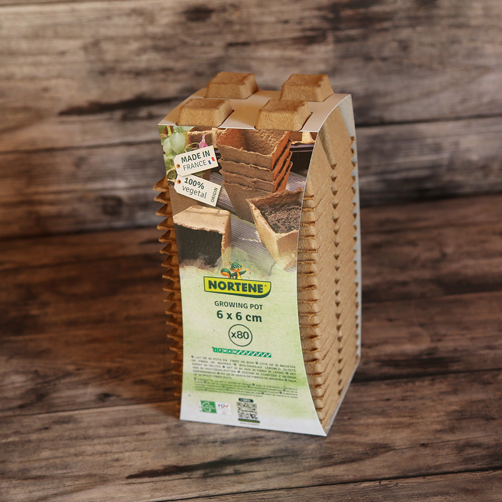 80 POTS BIODÉGRADABLES CARRÉ 6CM