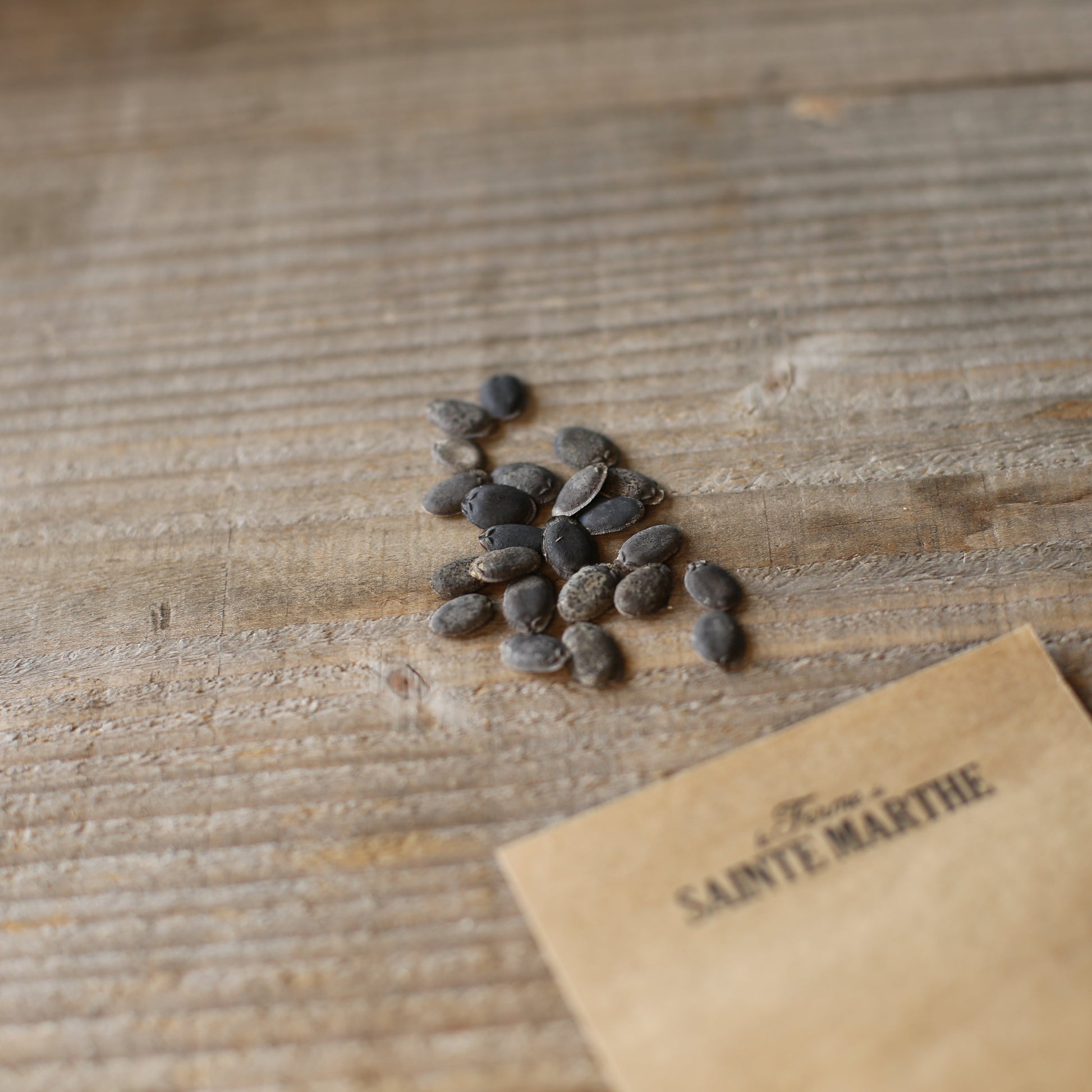 COURGE EPONGE (LUFFA) NT