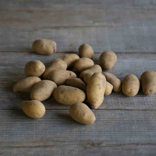POMME DE TERRE MINETTE AB