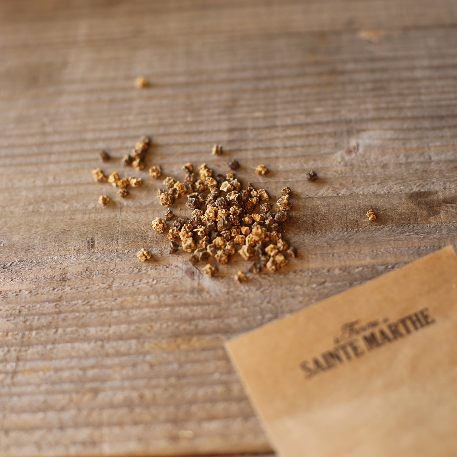 POIREE VERTE A CARDE BLANCHE 2 AB