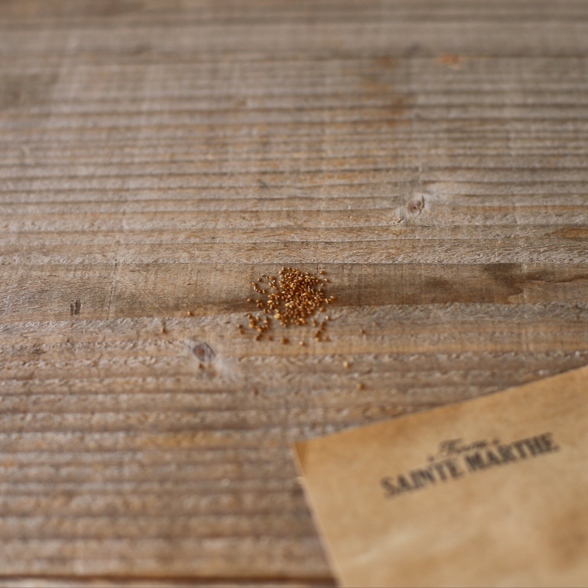 PENSEE DES CHAMPS NT