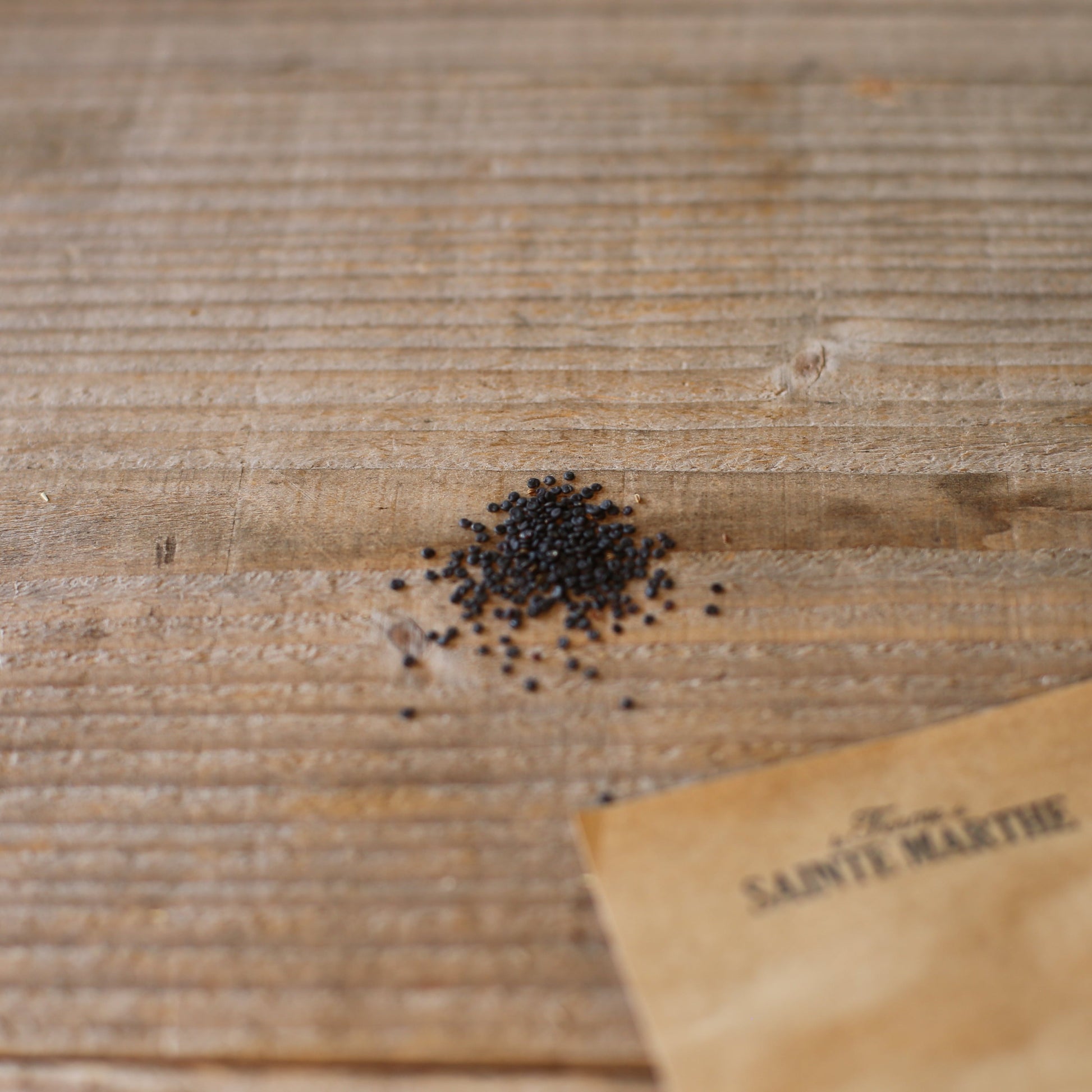 SAPONAIRE PINK BEAUTY AB