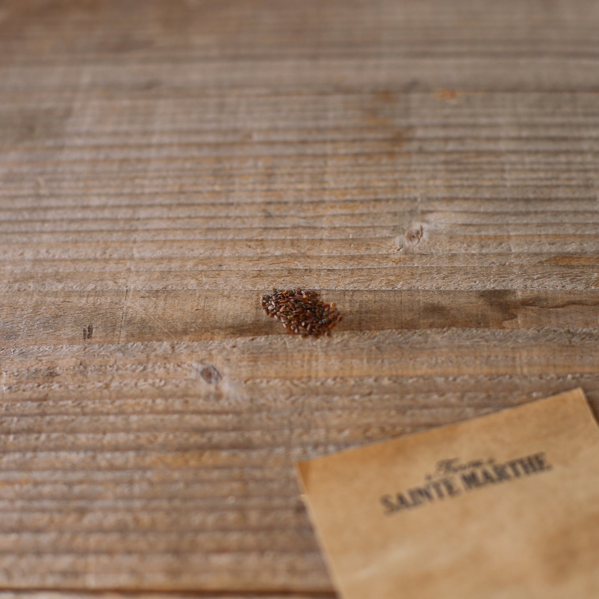 GIROFLEE PARFUM DU SOIR NT