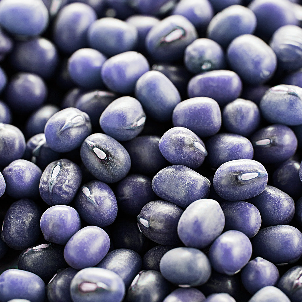 HARICOT A RAMES À GOÛT DE CHÂTAIGNE D’ECHENANS A ECOSSER AB