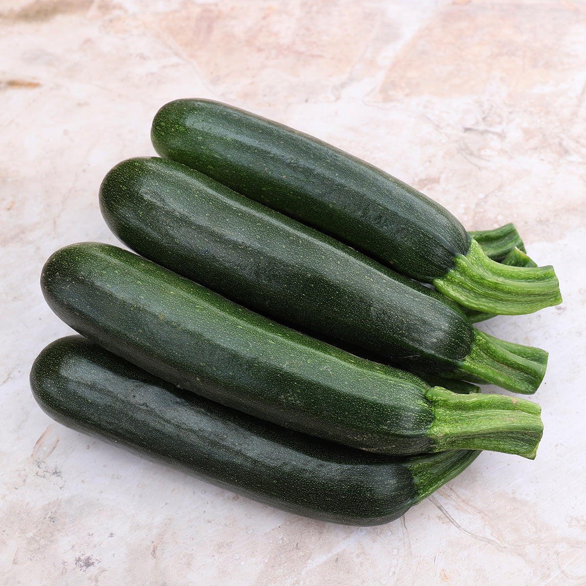COURGETTE VERTE HERMOSA AB