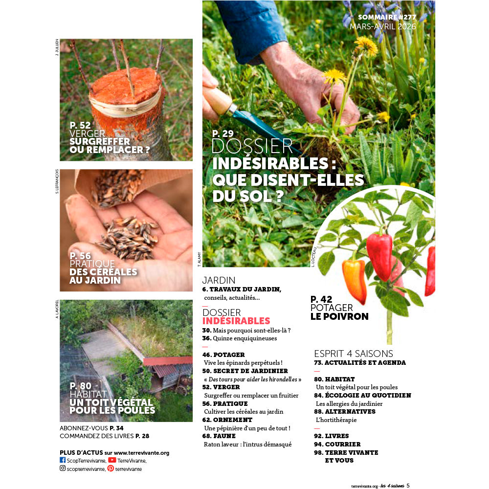 MAGAZINE 4 SAISONS - n°277 INDÉSIRABLES : COMMENT LES CONTENIR ?