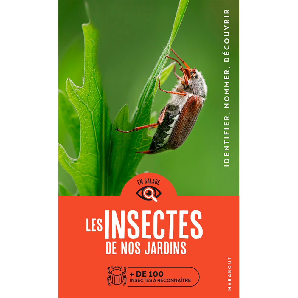 EN BALADE - LES INSECTES DE NOS JARDINS