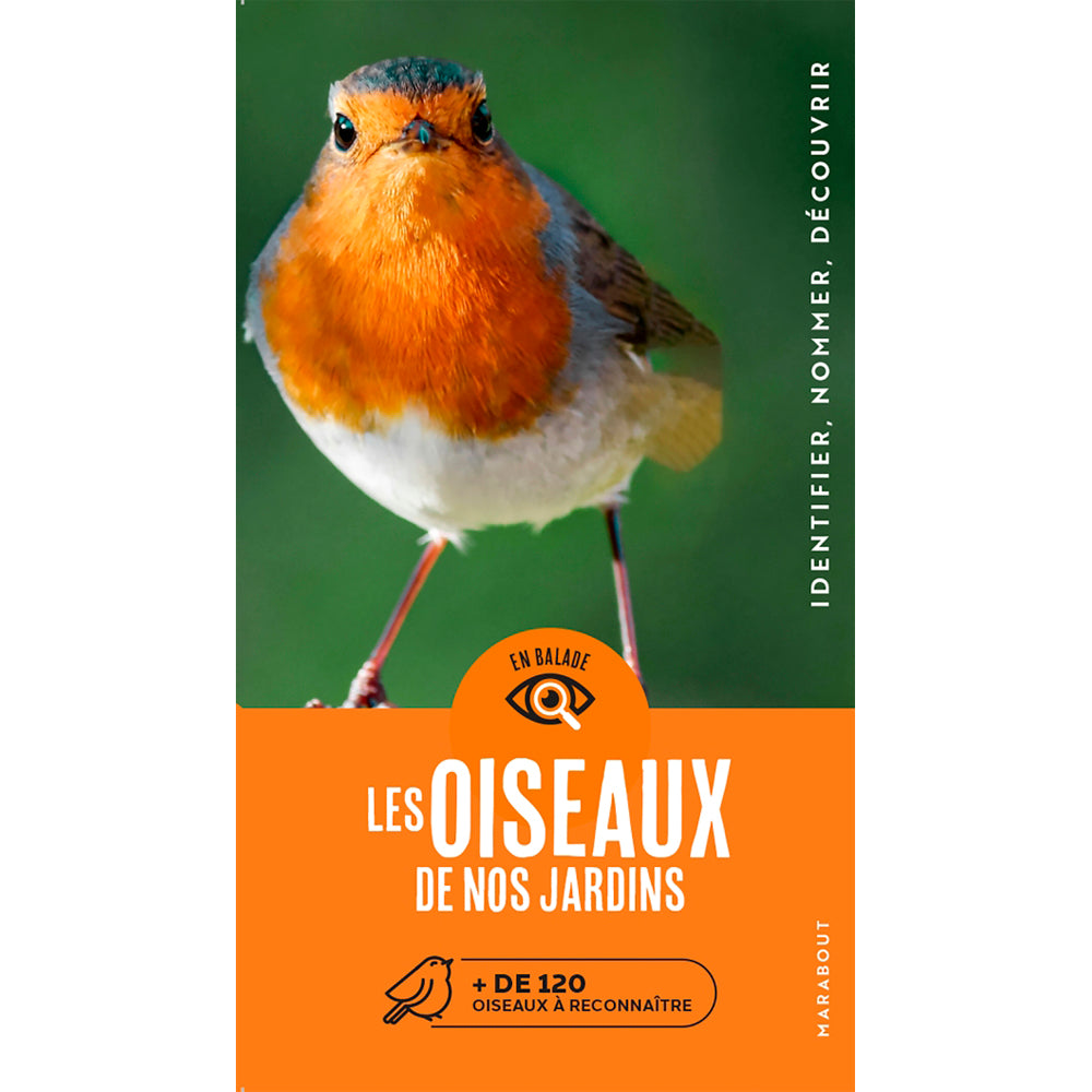 EN BALADE - LES OISEAUX DE NOS JARDINS