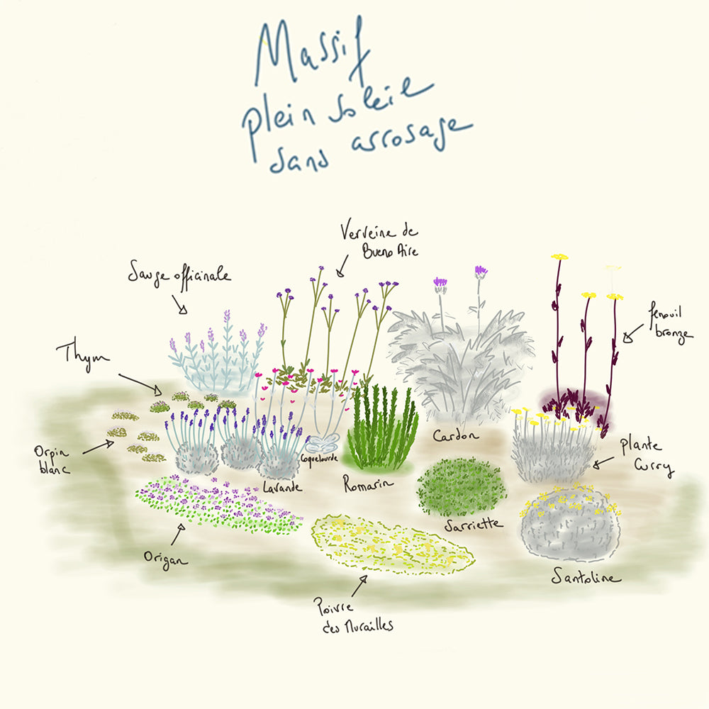 MASSIF CLÉ EN MAIN 12 M² - PEIN SOLEIL SANS ARROSAGE