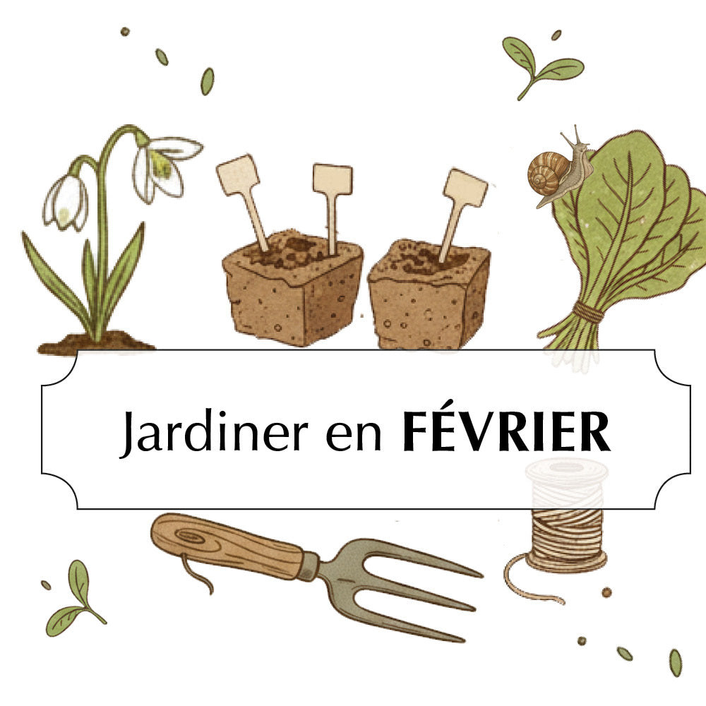 ASSORTIMENT POUR JARDINER EN FÉVRIER