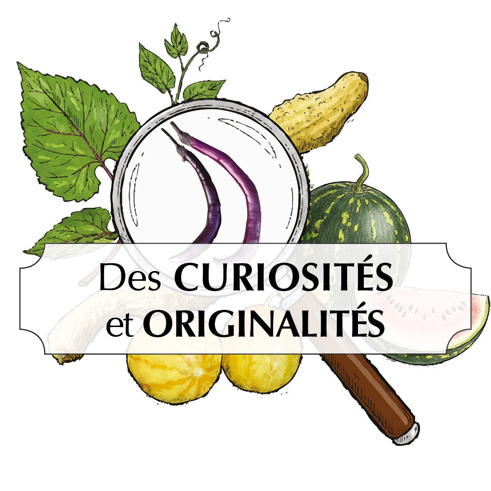 ASSORTIMENT DE CURIOSITÉS ET ORIGINALITÉS DE LA NATURE