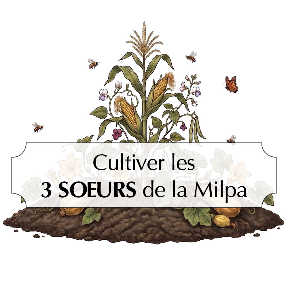 SORTIMENT BLUMEN FÜR STRÄUSSE