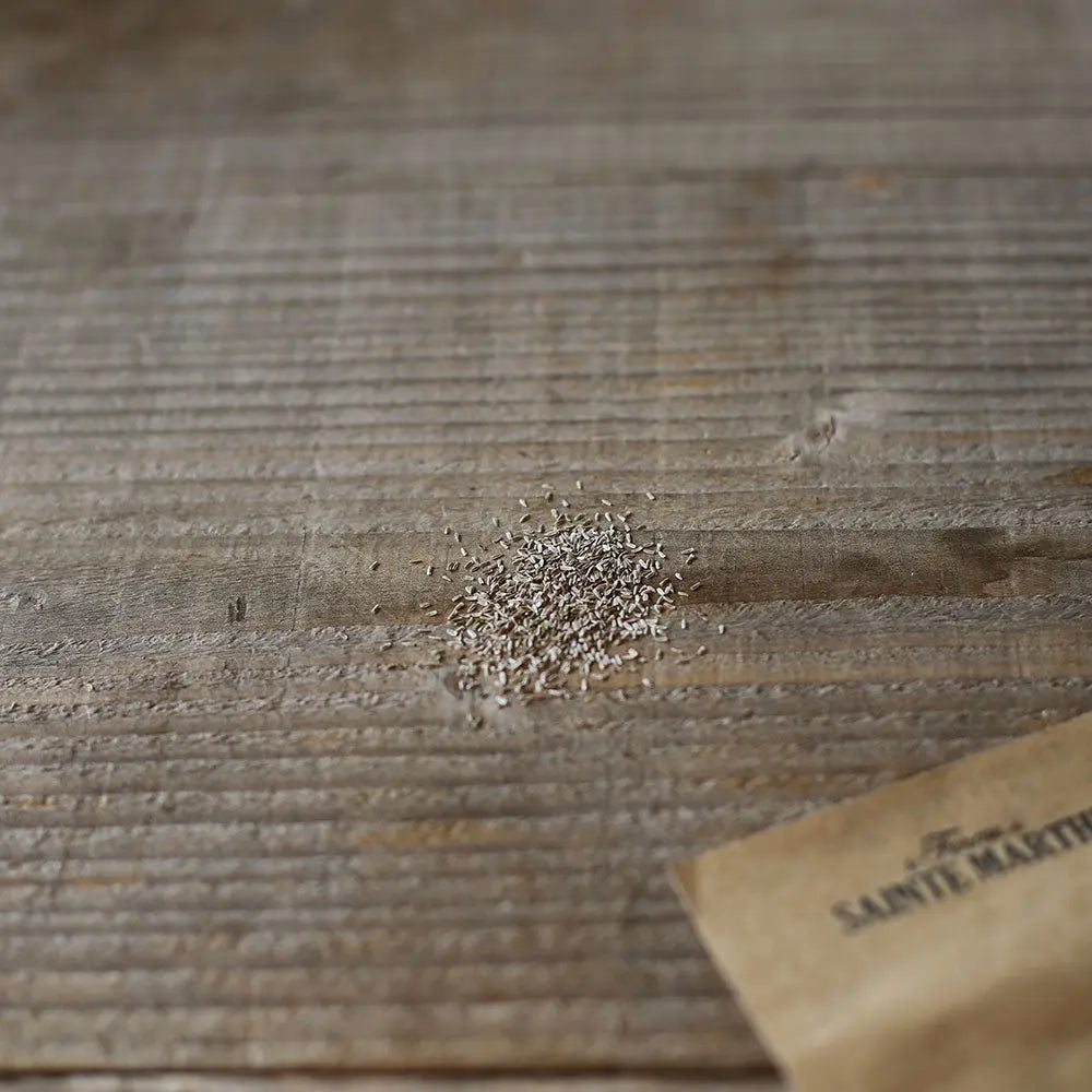 ACHILLEE MILLEFEUILLE AB