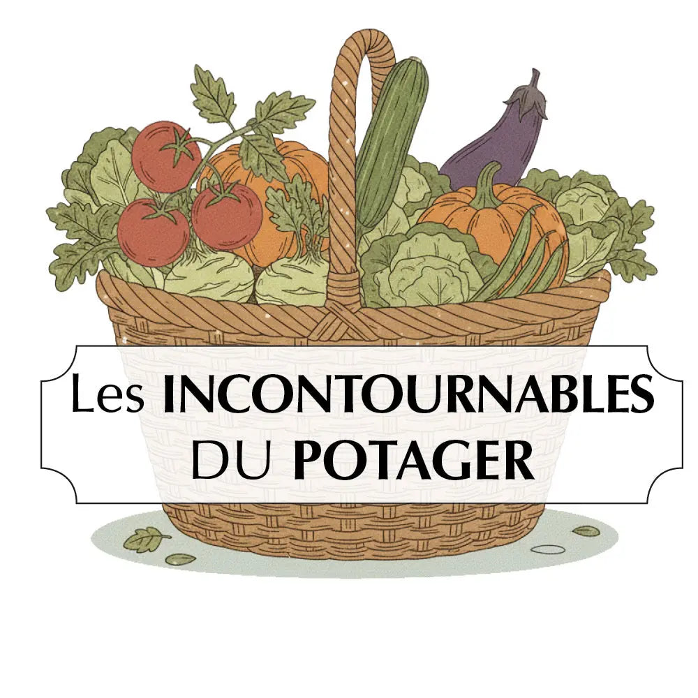 ASSORTIMENT DES INCONTOURNABLES AU POTAGER