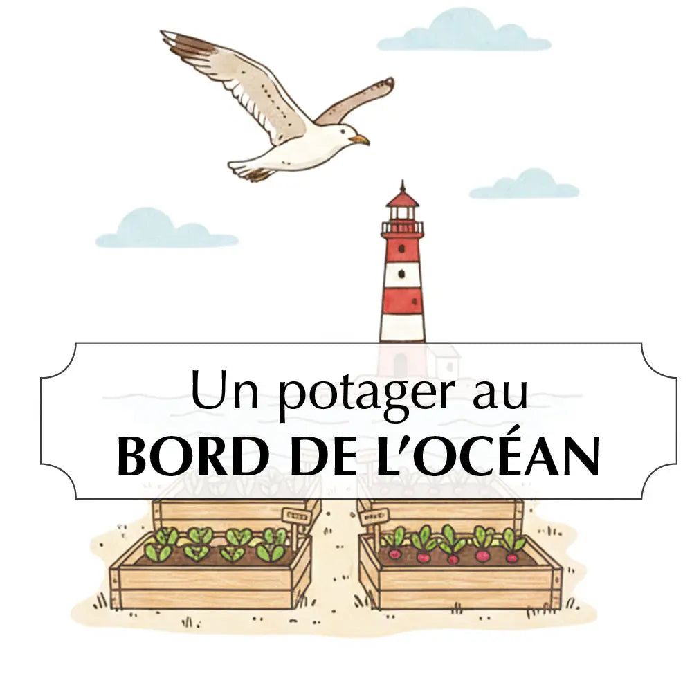 ASSORTIMENT POUR UN POTAGER AU BORD DE L'OCÉAN