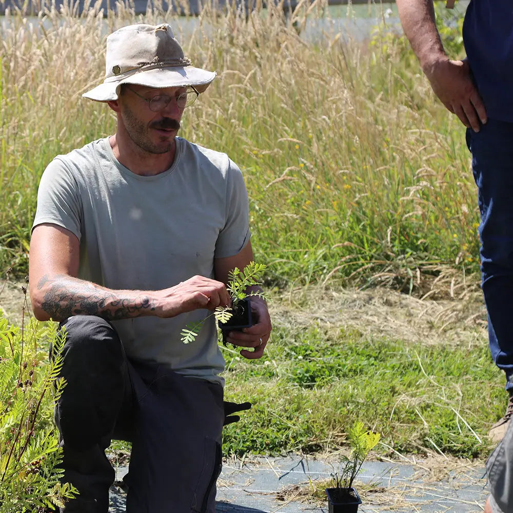 ATELIER DE JARDINAGE - CONCEVOIR UN MASSIF ORNEMENTAL ET GOURMAND