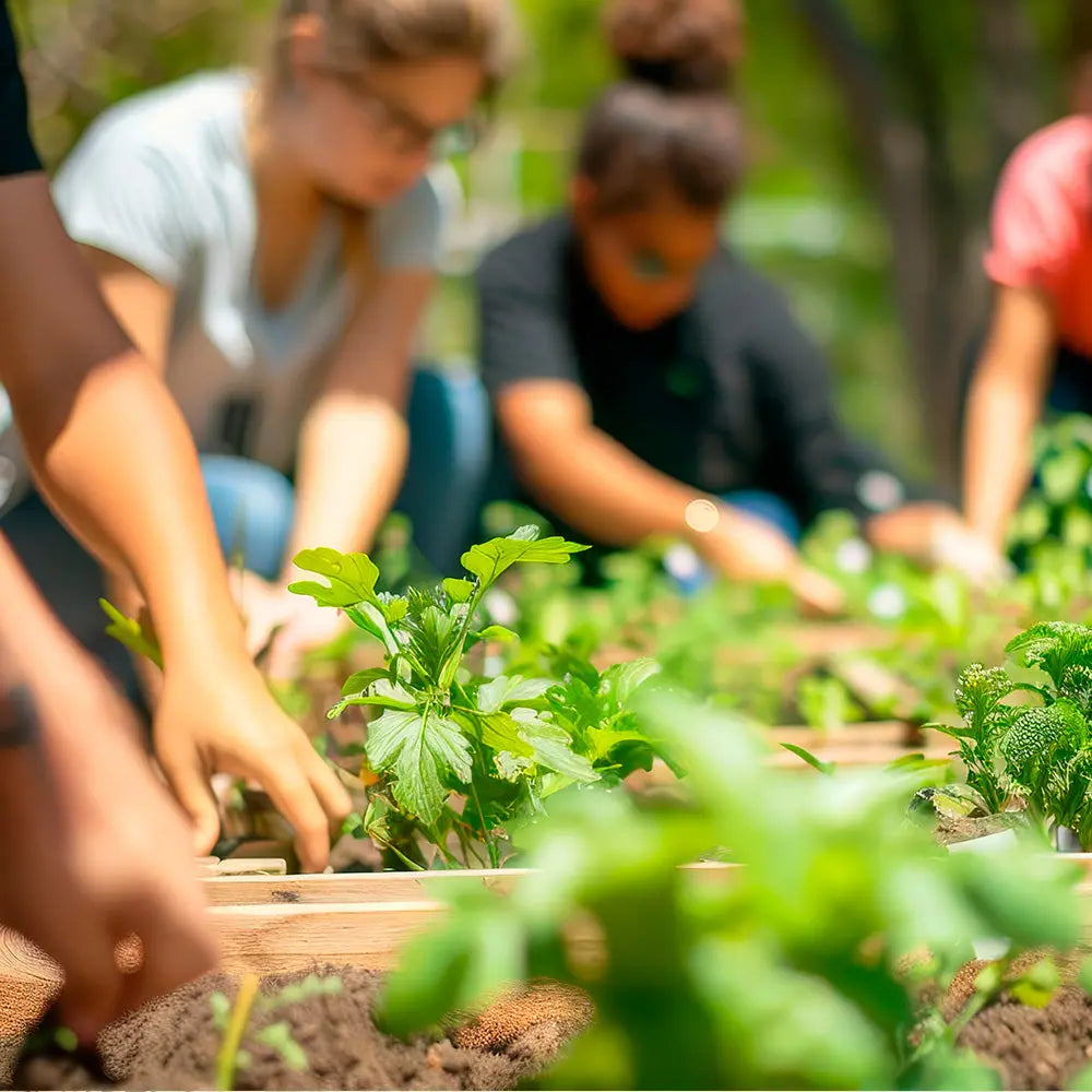 ATELIER DE JARDINAGE - LE POTAGER EST DE RETOUR