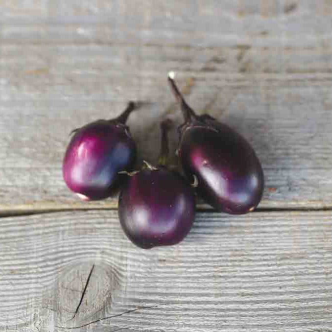 Aubergine bambino