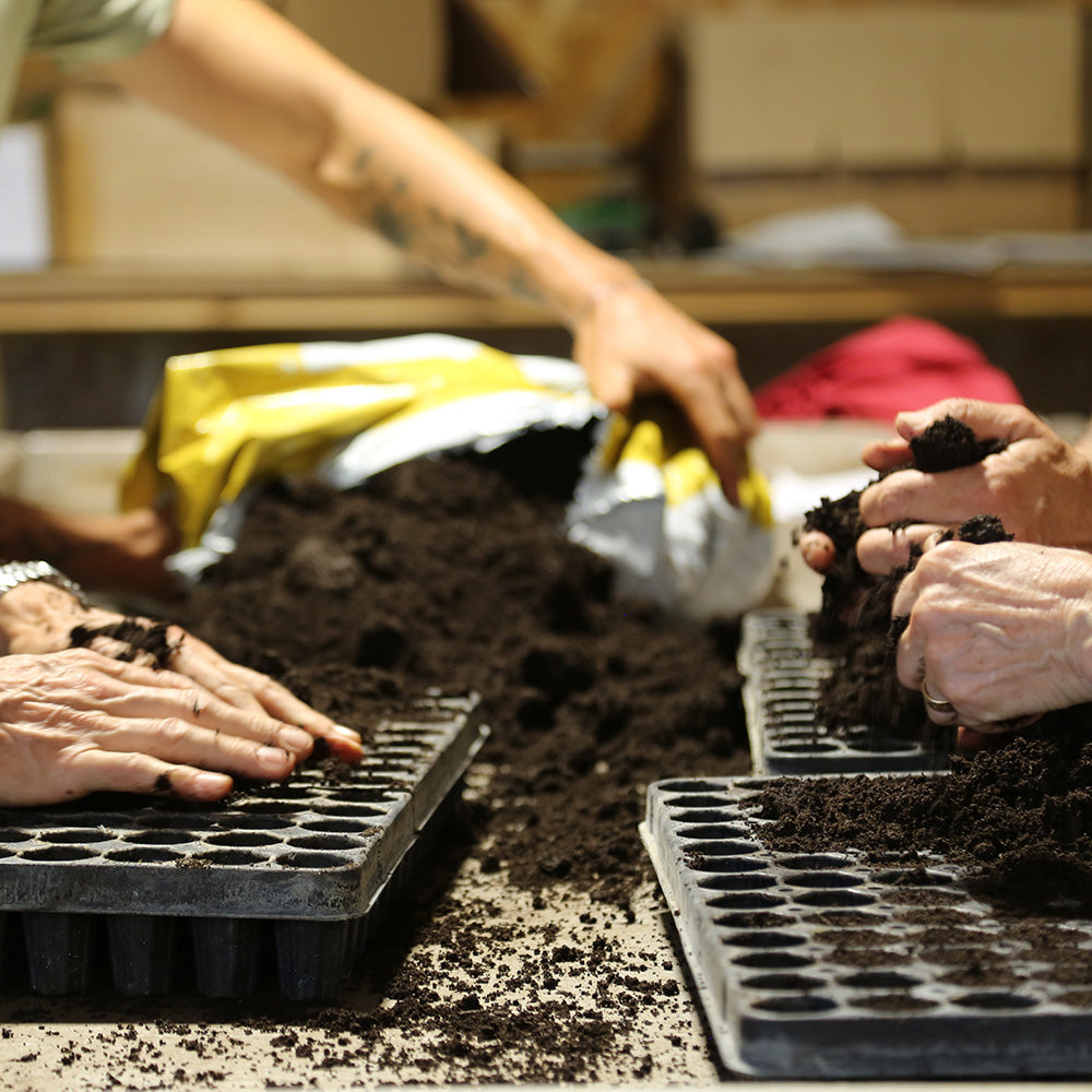 ATELIER DE JARDINAGE - JARDINER AVEC SOIN