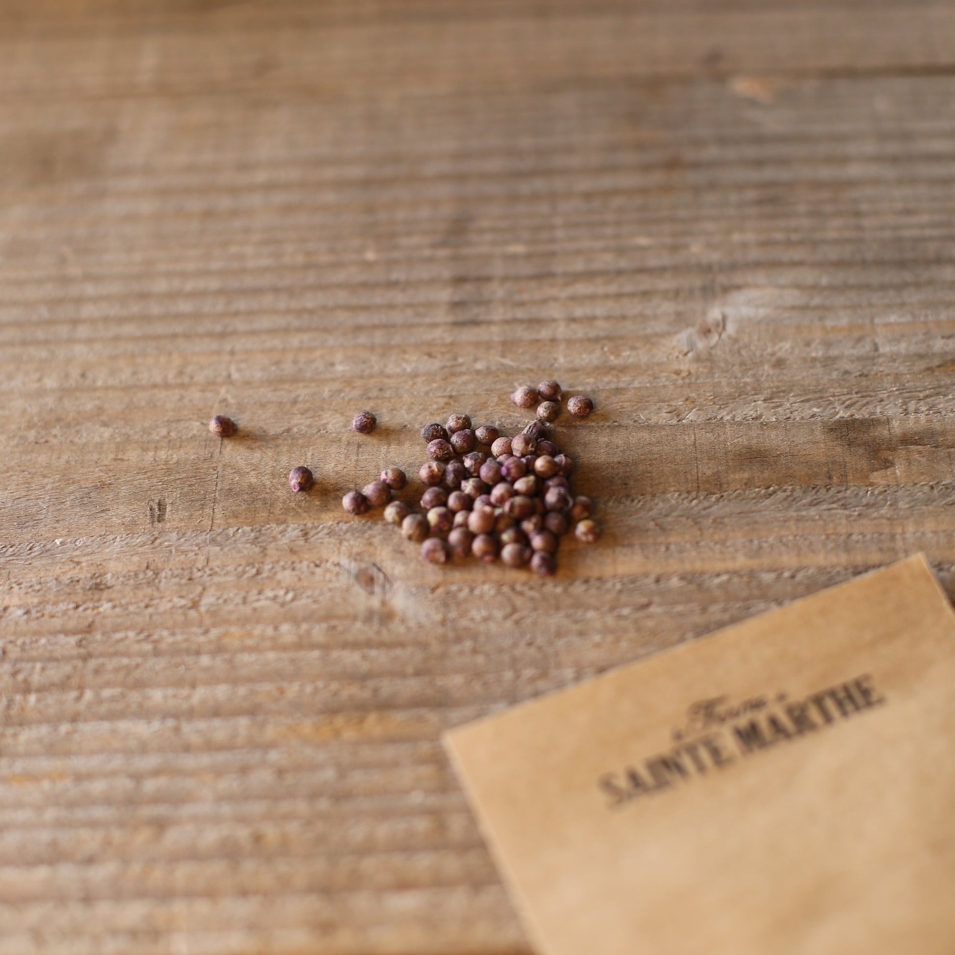 BASELLE ALBA OU EPINARD DE MALABAR AB - ANTIGASPI