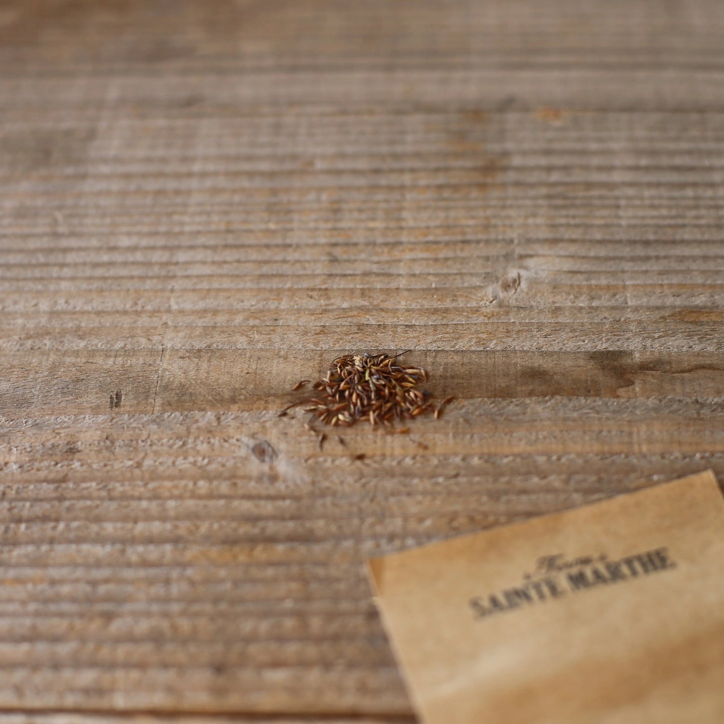 BENOITE SAUVAGE AB - ANTIGASPI