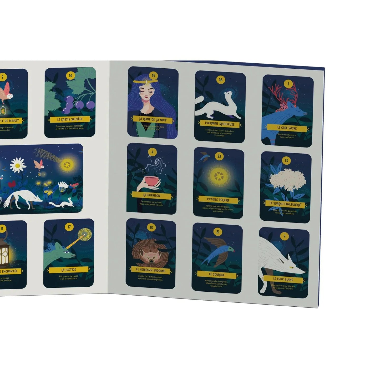 CALENDRIER D'INFUSIONS BIOHÊME - ORACLE DE LA NATURE