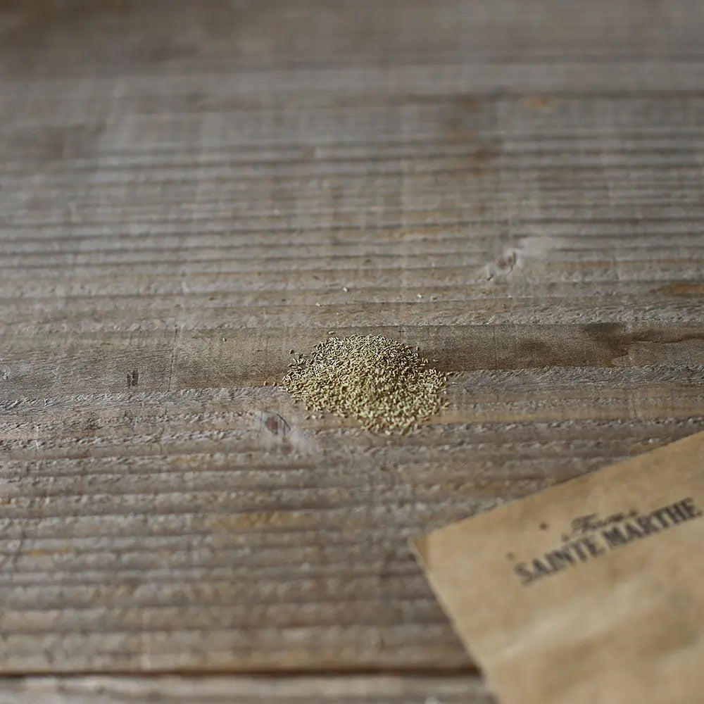 CAMOMILLE MATRICAIRE AB