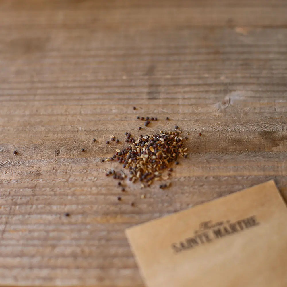 CAROTTE ET NAVET EN MELANGE (Carotte obtuse de Guérande, Navet de Croissy) AB