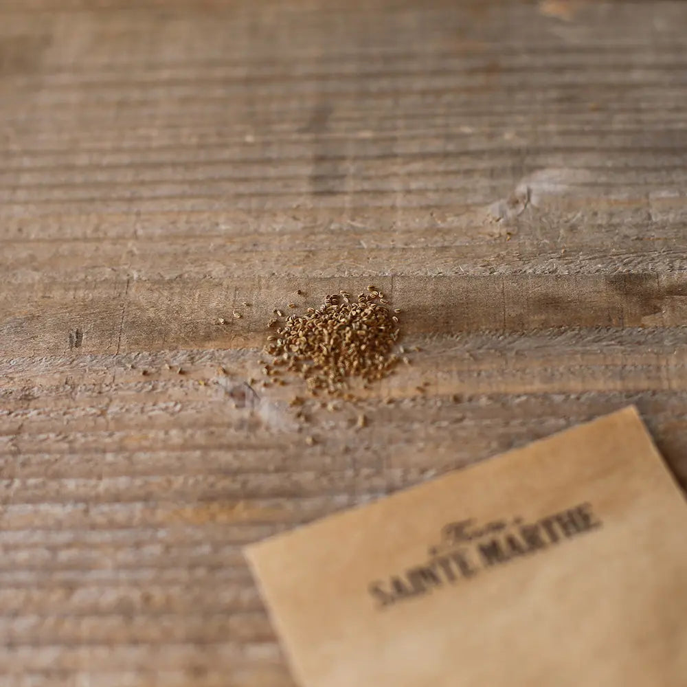 CELERI-RAVE PORTHOS AB