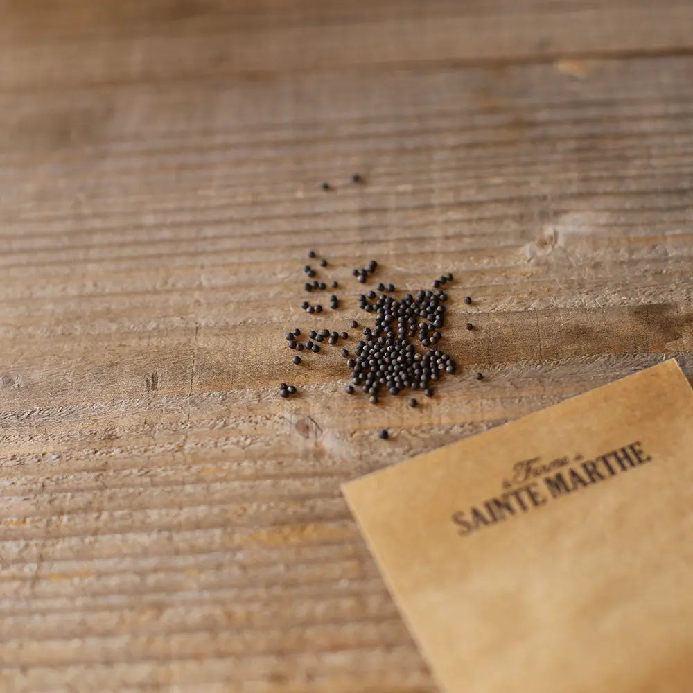 CHOU FRISE KALE ROUGE DE RUSSIE AB