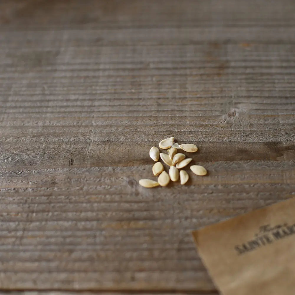 COLOQUINTES INDIAN MIX AB