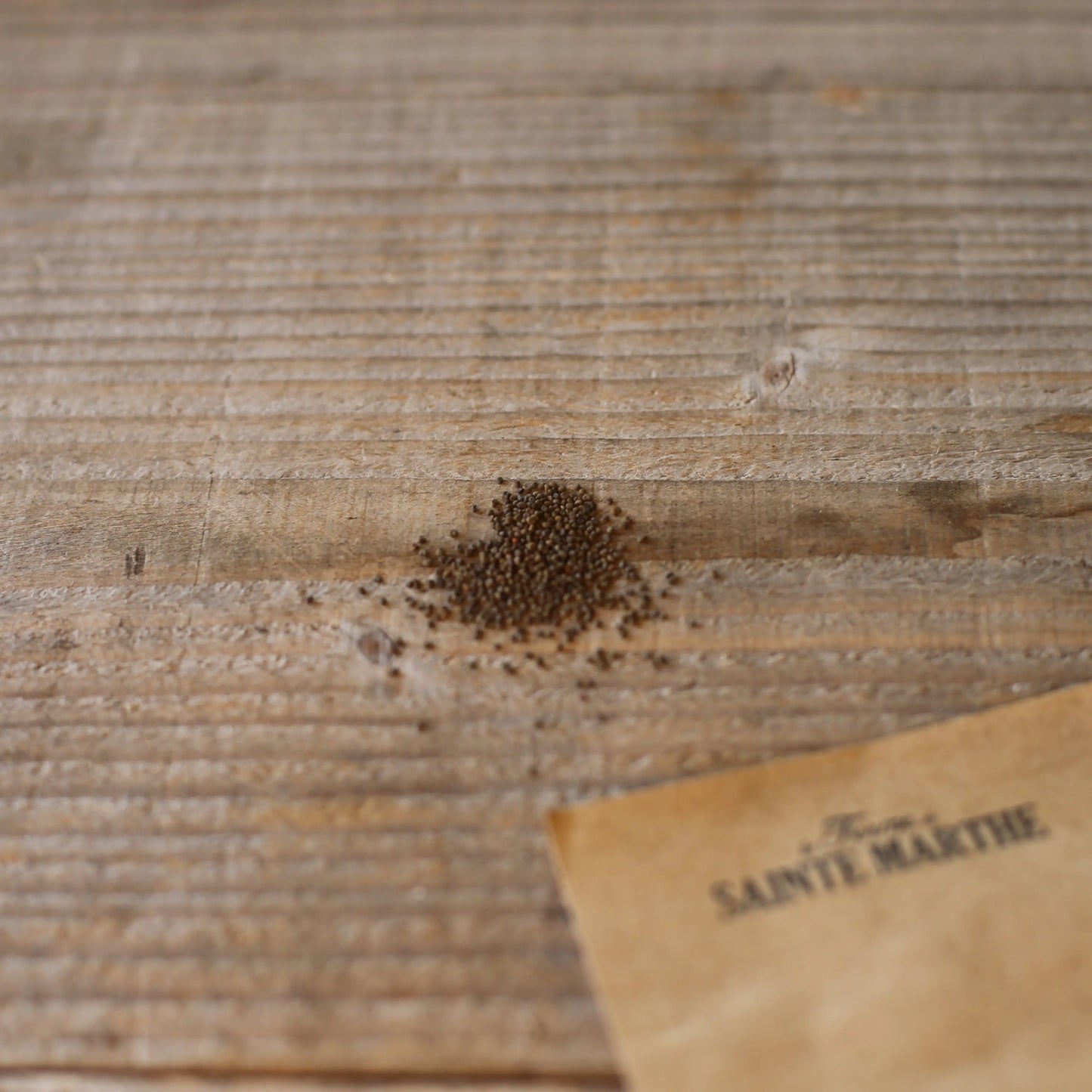 COMPAGNON ROUGE OU SILENE DIOIQUE AB