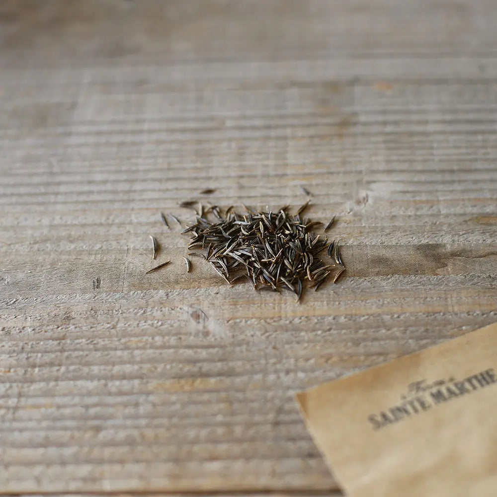 COSMOS SENSATION VARIE AB