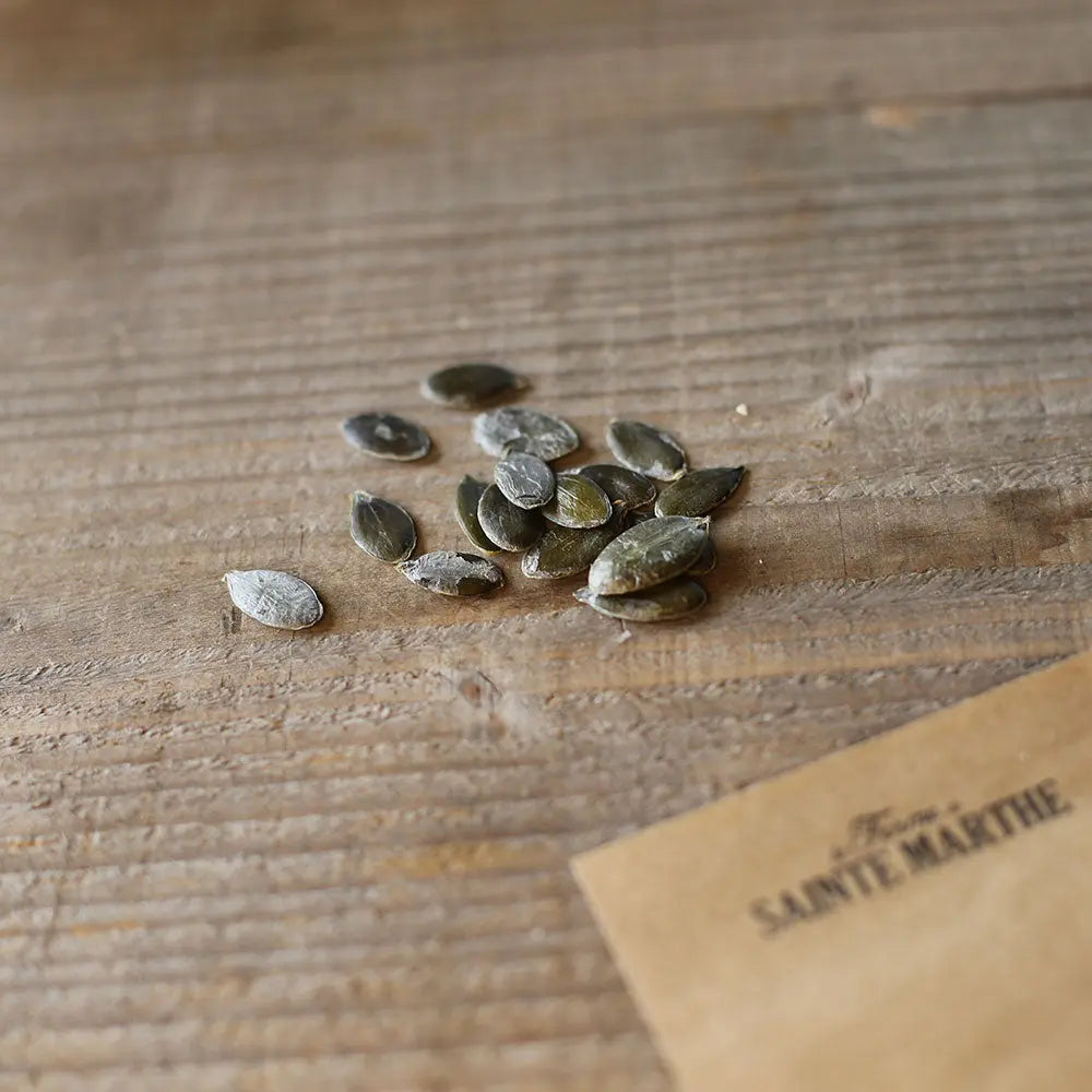 COURGE LADY GODIVA AB