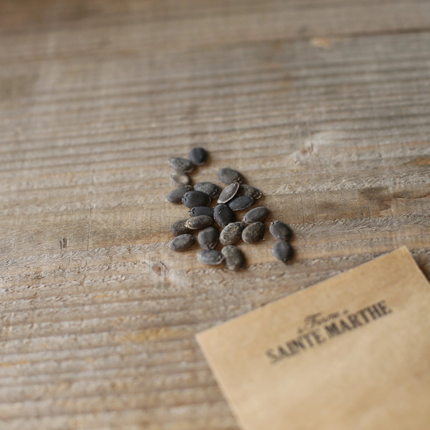 COURGE LUFFA COMESTIBLE HUADIANSIGUA AB