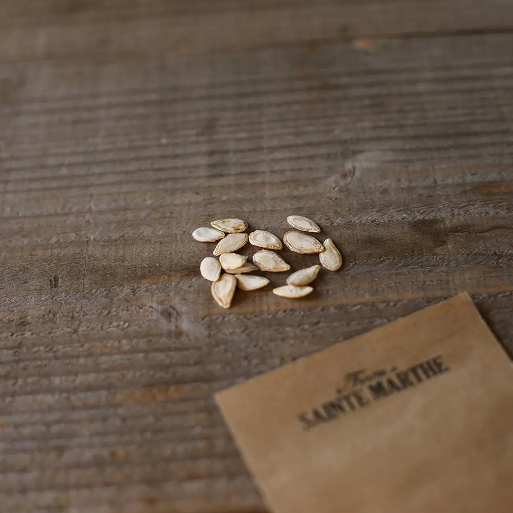 COURGE MUSQUEE BUTTERNUT AB