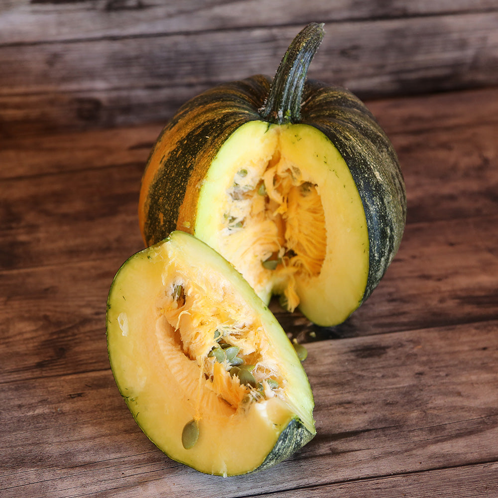 COURGE LADY GODIVA AB