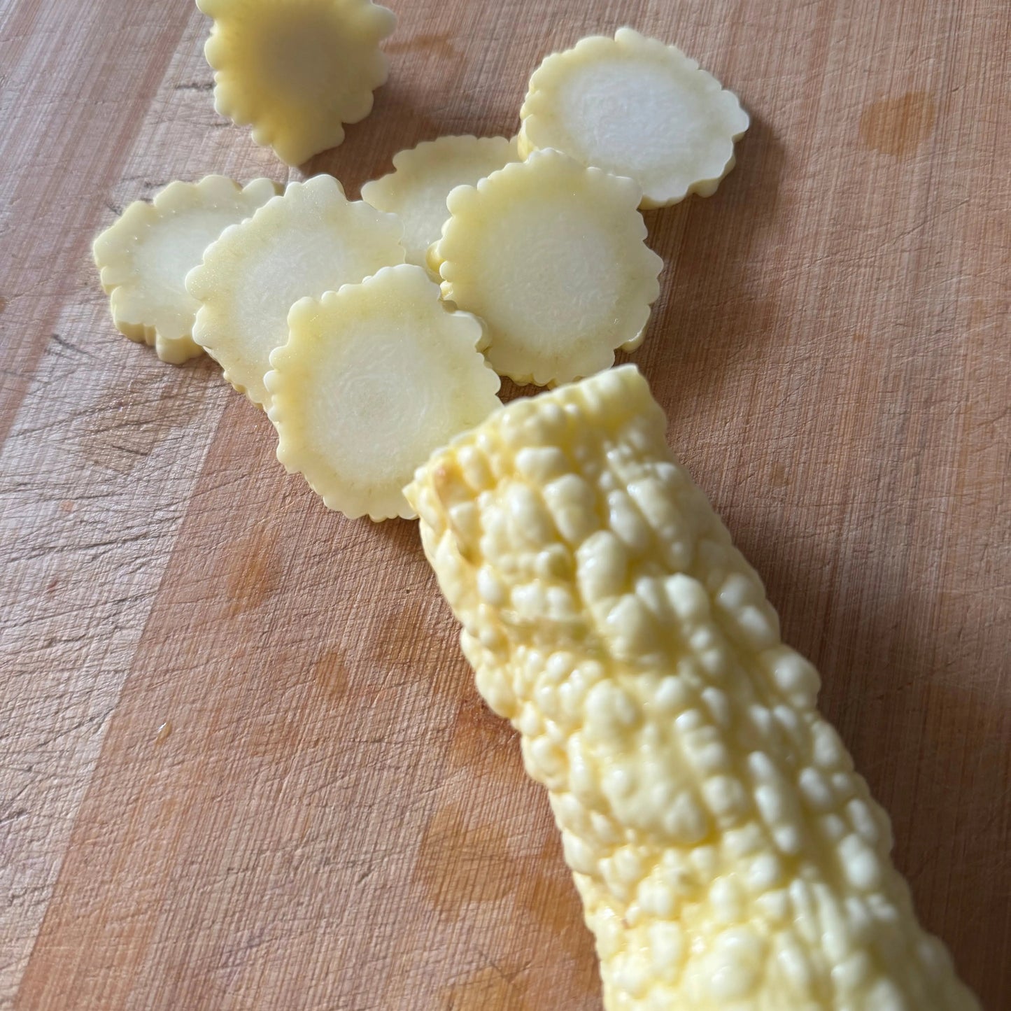 COURGETTE POP-CORN OU RUGOSA FRIULANA AB