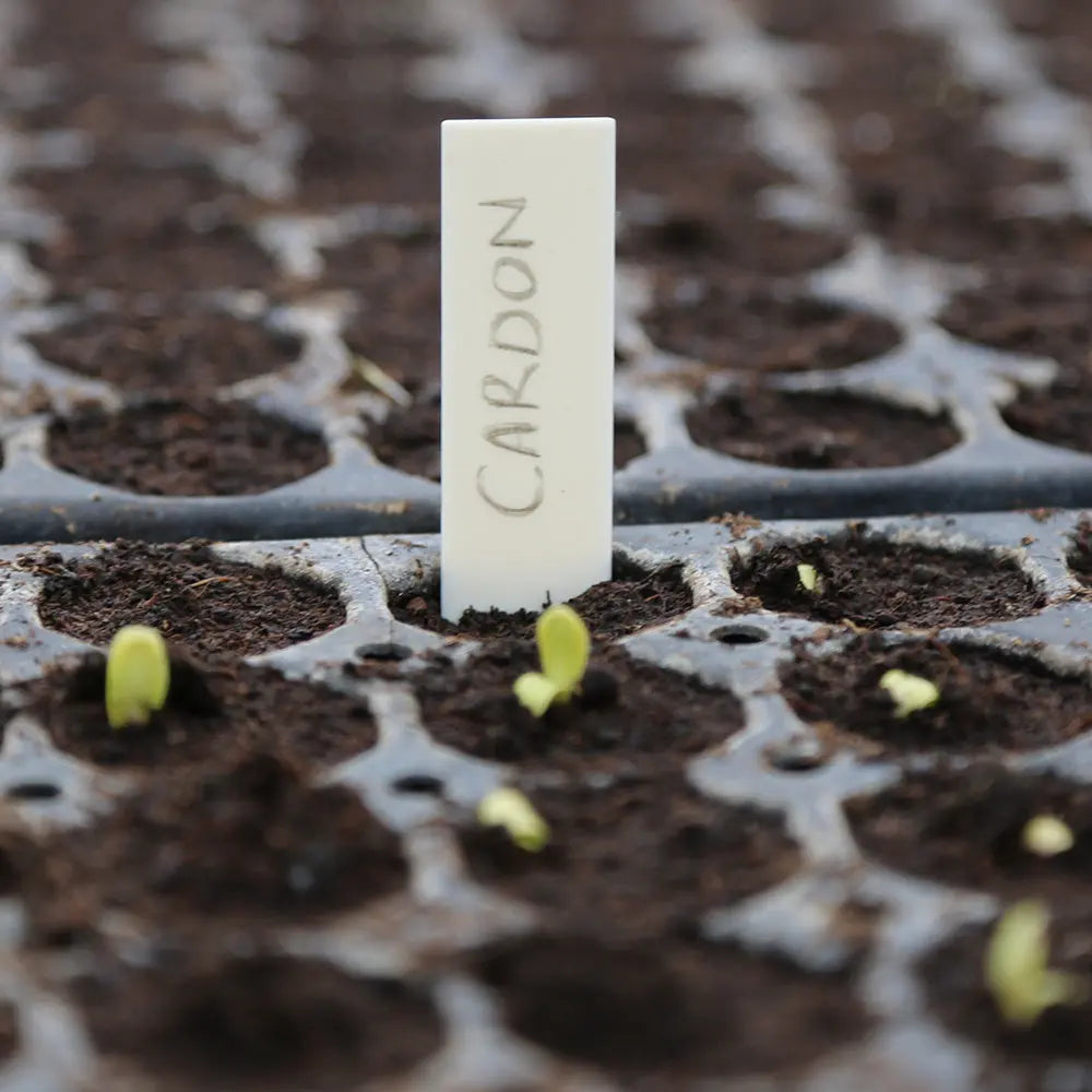 ÉTIQUETTES DE SEMIS COMPOSTABLES