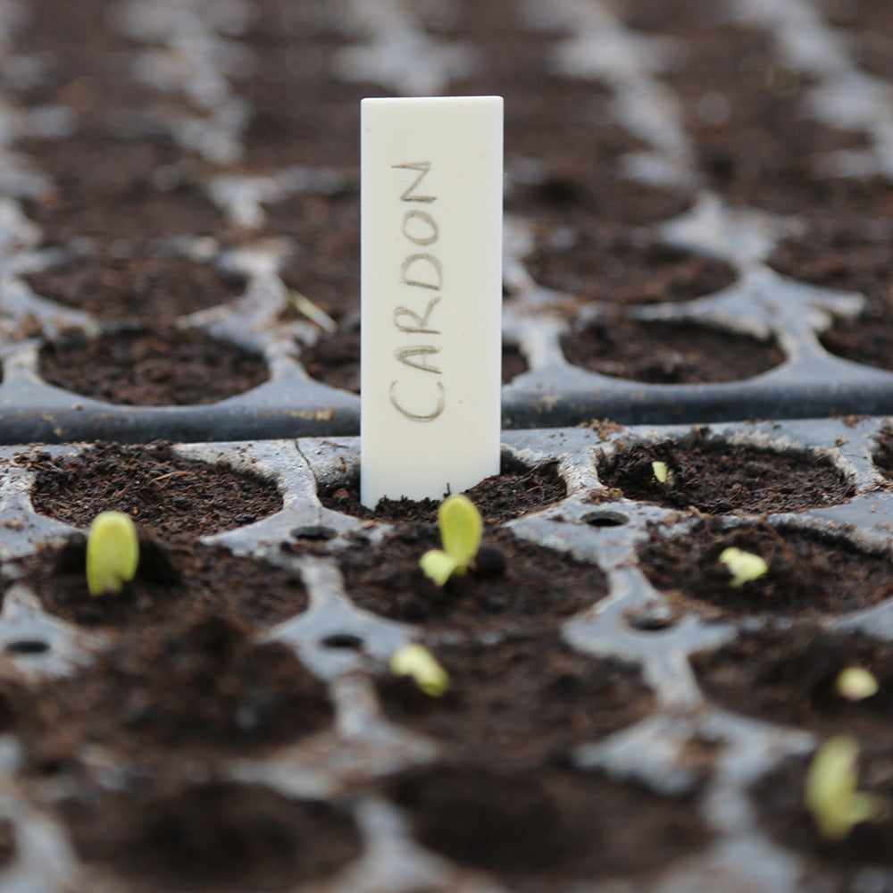 ÉTIQUETTES DE SEMIS COMPOSTABLES