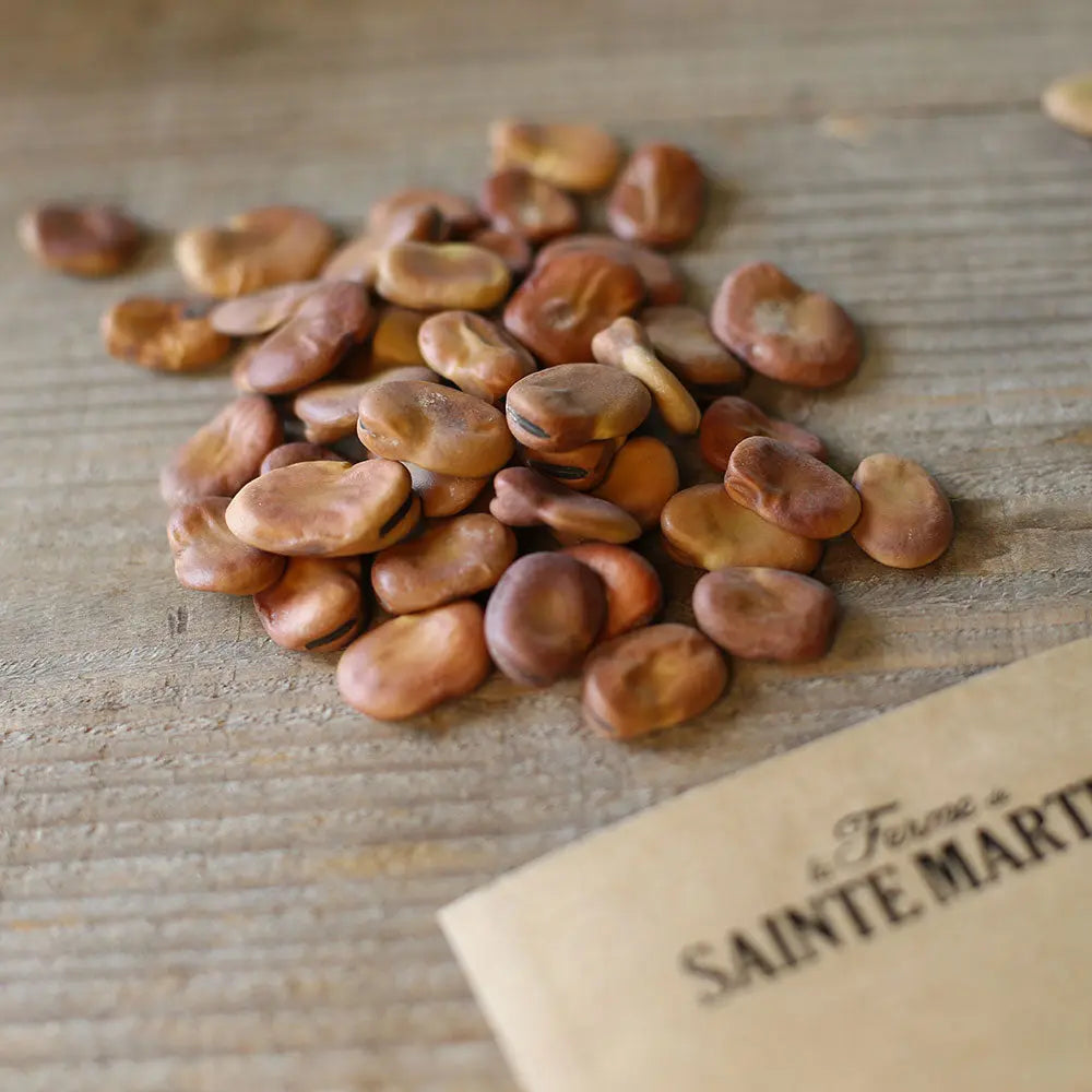 FEVE AGUADULCE A TRES LONGUE COSSE AB 80 g