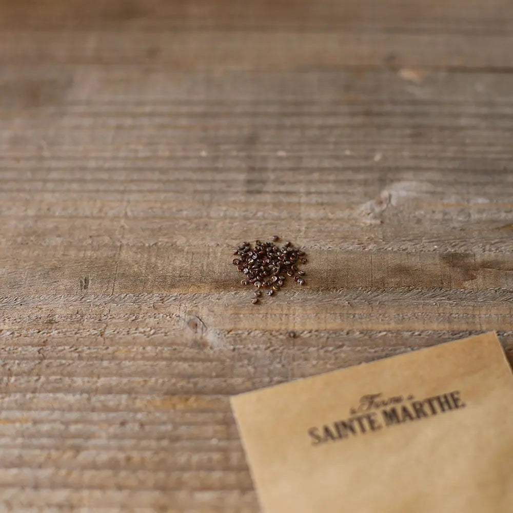 GUIMAUVE OFFICINALE AB