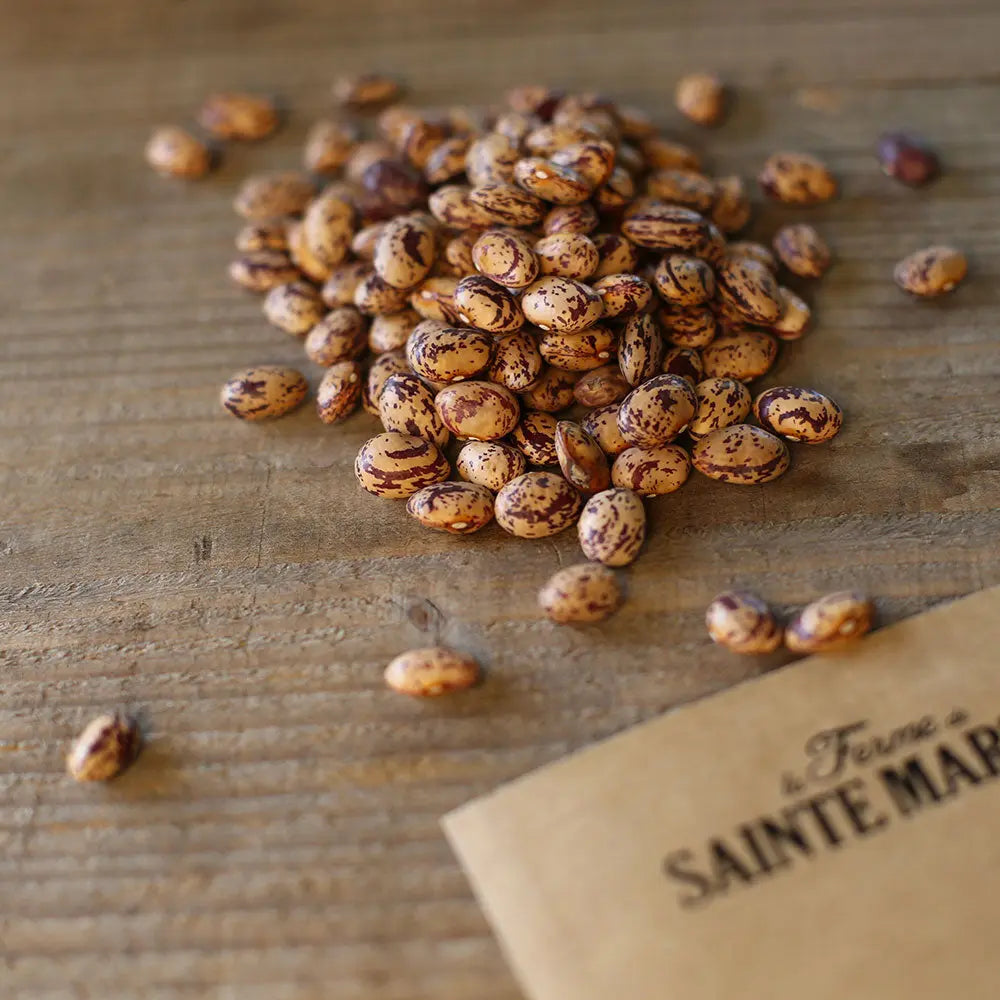 HARICOT A RAMES LANGUE DE FEU 2 A ECOSSER AB