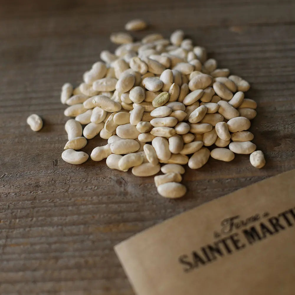 HARICOT A RAMES NECKARKONIGIN AB