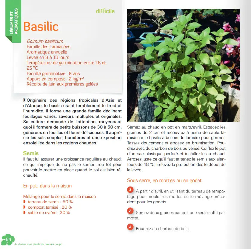 JE REUSSIS MES PLANTS DU PREMIER COUP