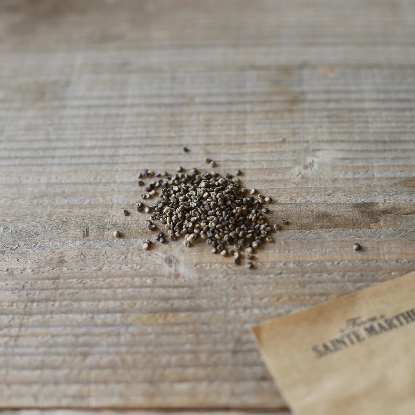 LAVATERE ANNUELLE AB