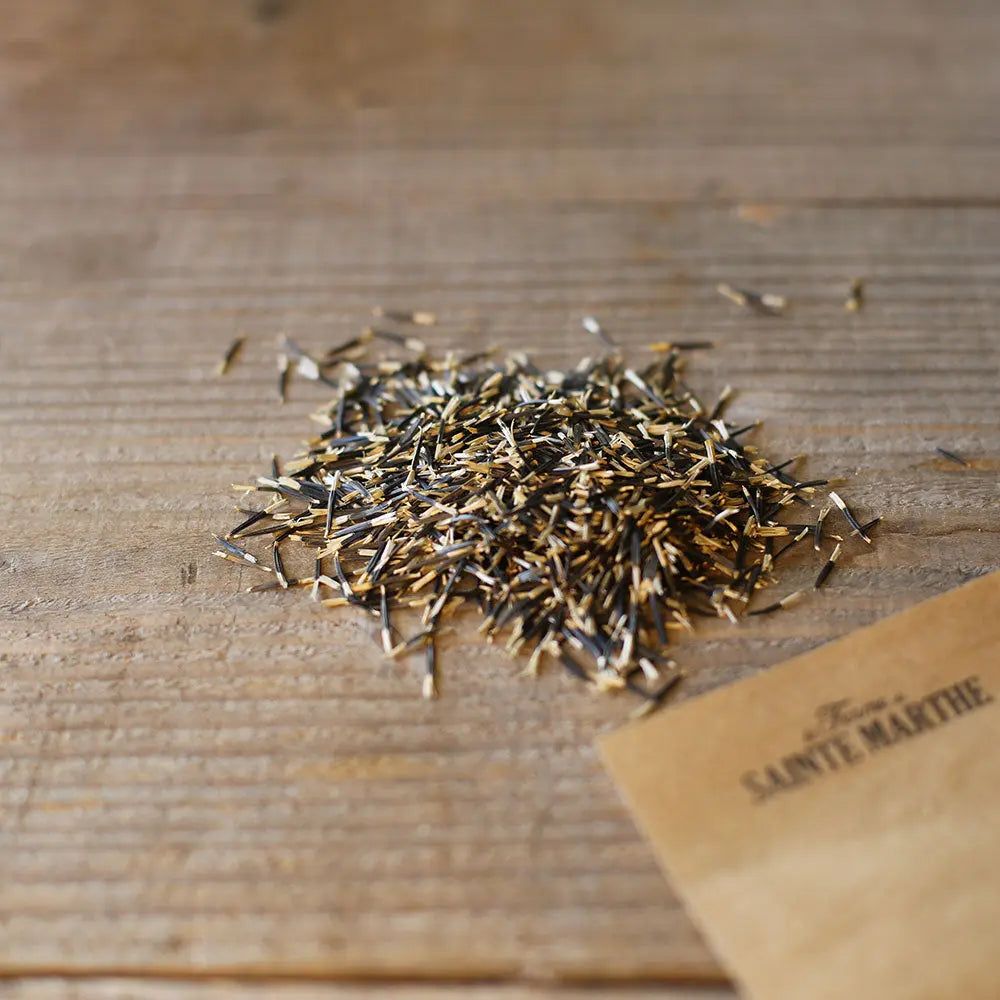 OEILLET D'INDE OU TAGETES ERECTA AB