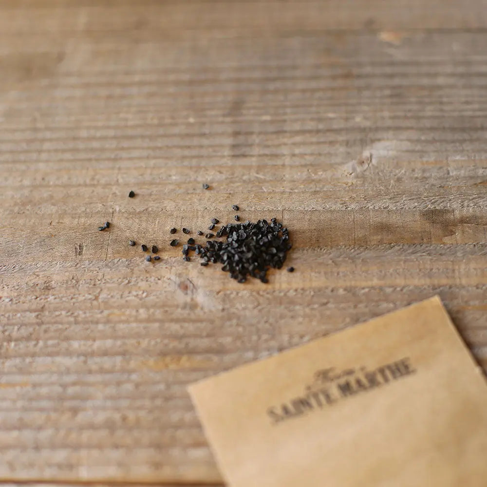 OIGNON-POIREAU ISHIKURA LONG WHITE AB