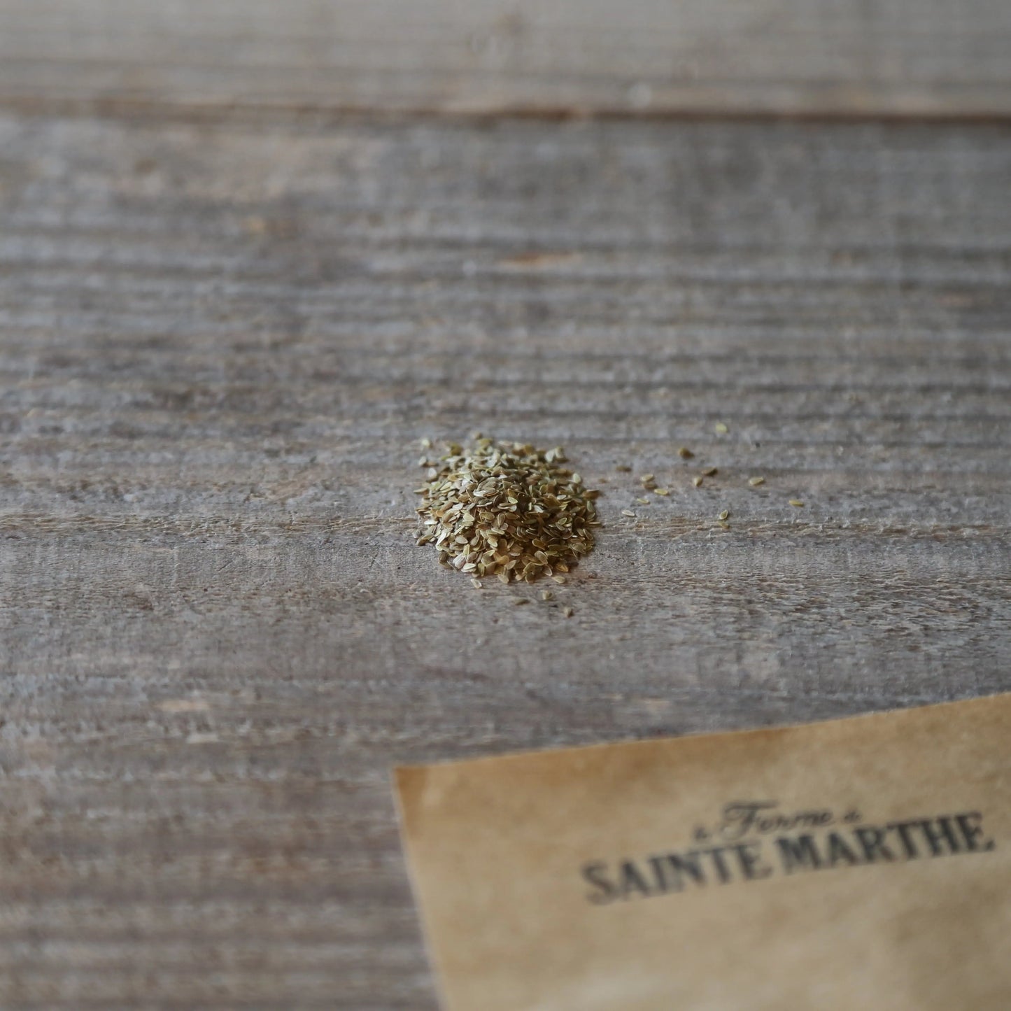 PÂQUERETTE SIMPLE NT