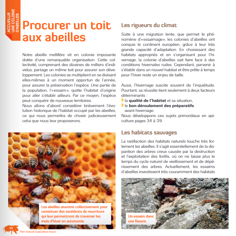 PETIT MANUEL D´APICULTURE DOUCE EN RUCHE WARRE